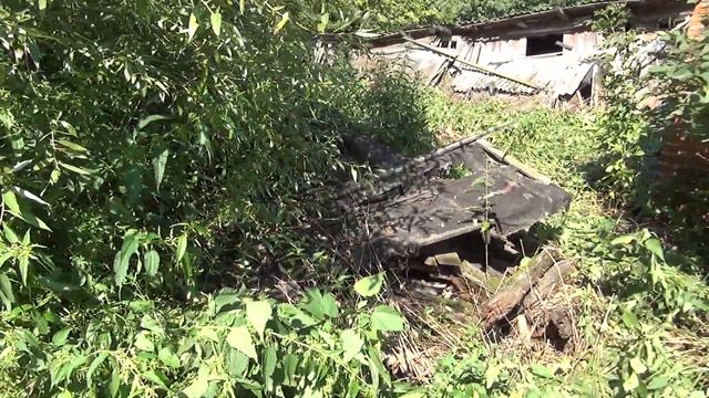 Лето 2019 года смотреть онлайн