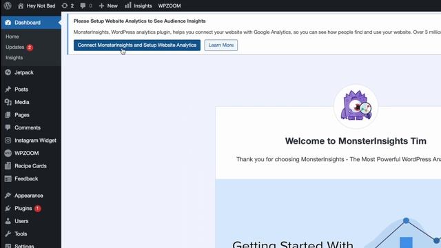 Check Your Website Traffic In WordPress With Google Analytics & Monster Insights смотреть онлайн