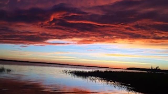 25.08.2015 Новости Нашего Города г.Ноябрьск смотреть онлайн