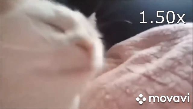 Мем 