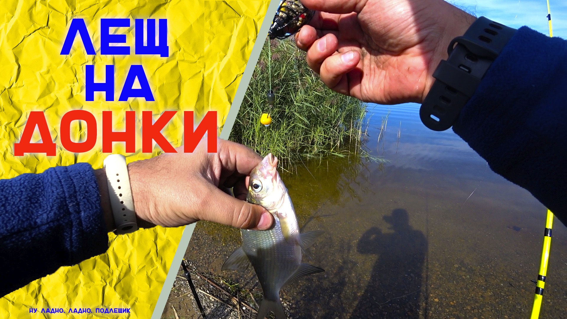 Лещ на донки  Море поклевок  Поклевки онлайн