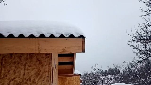 ОБЖИГАЕМ ТУАЛЕТ ИЗ ОСБ-WE BURN THE TOILET FROM OSB смотреть онлайн