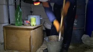 утреннее кормление уток /мускусные утки/ утята/ Пекинские утки