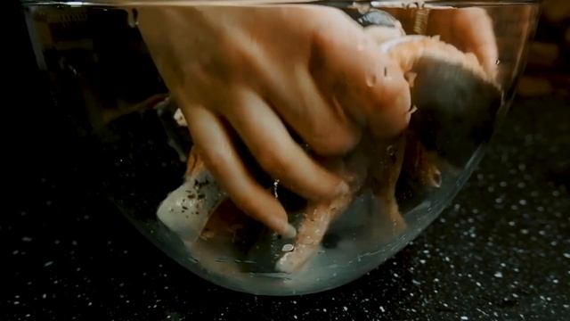 Мотоциклы и Экстрим