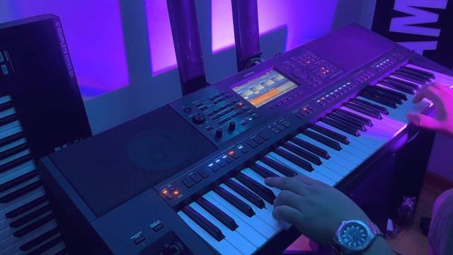 🎹🔥💃🏻🕺🏻 SX900 - Italo Dance Demo (Custom Style) смотреть онлайн