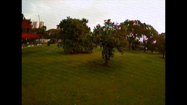 Runcam Owl Plus FPV Camera ? - Review, ?Day & ?Night Flight Samples? смотреть онлайн