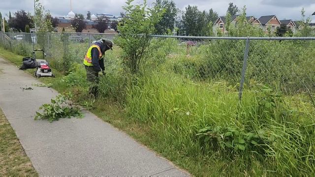 FREE Public NUISANCE TRANSFORMATION PART2, #lawnmowing #grasscutting #mowing #lawncare #cuttinggras