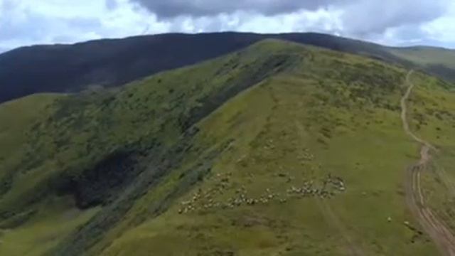 Пономарчук Катерина Максимівна, Дудка Марія Андріївна,Остапенко Софія Юріївна, 10 шк ступенів смотреть онлайн