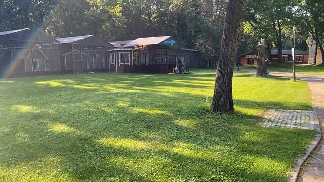 ☀️ДЕНЬ 1-ый НАШЕГО ОТДЫХА/?Красивая территория? / ?Вкусная еда/ ?Жарим купаты смотреть онлайн