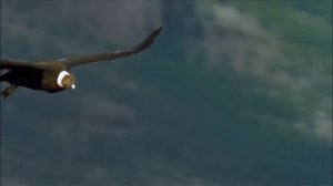 The Best Of Leo Rojas _ Лео Рохас Лучшие Хиты Полный Альбом - Pan Flute Collection