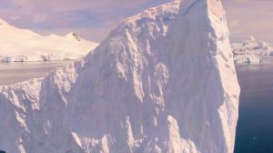 Antarctica - All around the world 2019 (Traveling)