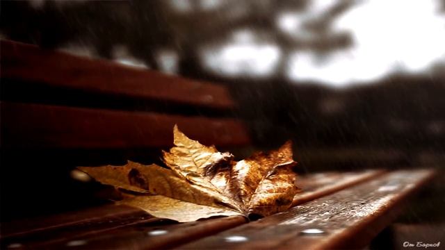 Владимир Машечкин-Осень смотреть онлайн