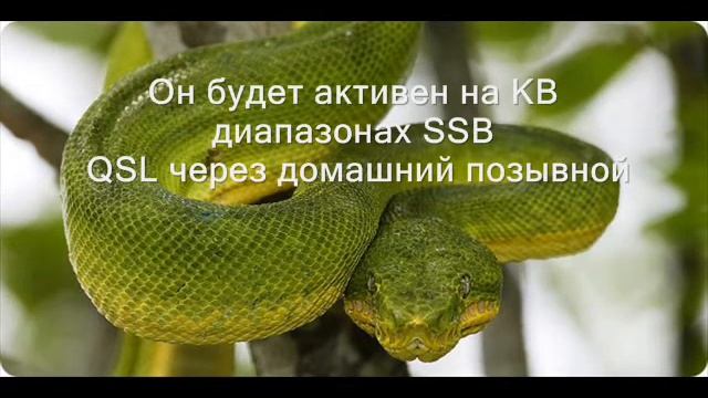 FY/F5UII Французская Гвиана смотреть онлайн