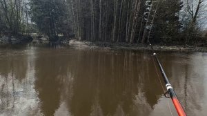 ПОПЛАВОК С МОРМЫШКОЙ сделали рыбалку!!