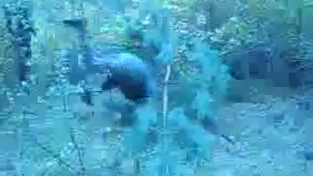 армейский "брейк-данс" смотреть онлайн