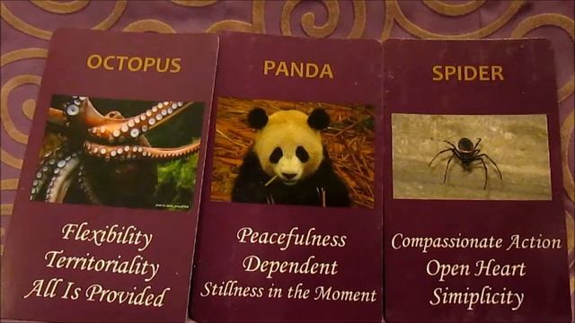 October Forecast Animal Wisdom Oracle Cards - Peace, Spirituality, Open Heart смотреть онлайн