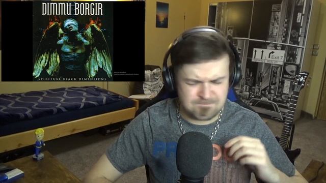 WILD AND EPIC! Dimmu Borgir - The Insight and the Catharsis REACTION (First time hearing) смотреть онлайн