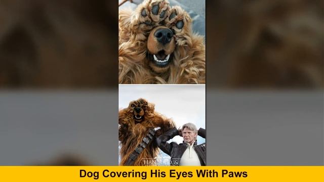 Times Winners Of The Greatest Photoshop Battles Made The Internet A Funnier Place смотреть онлайн