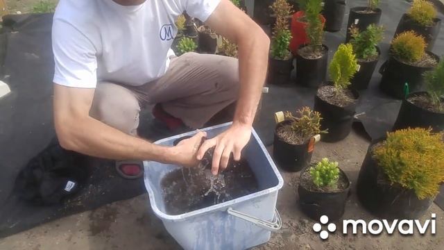 Стираем тканевые #горшки #GrowNic после грова смотреть онлайн