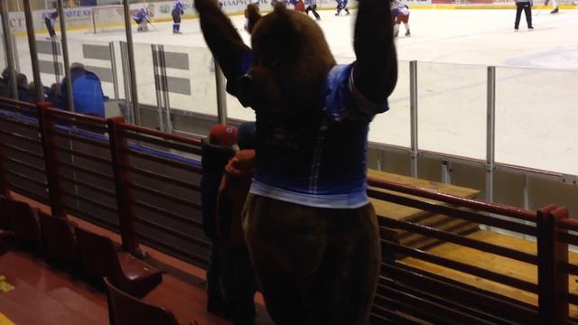 Дикие танцы медведя / Wild dances of bear смотреть онлайн