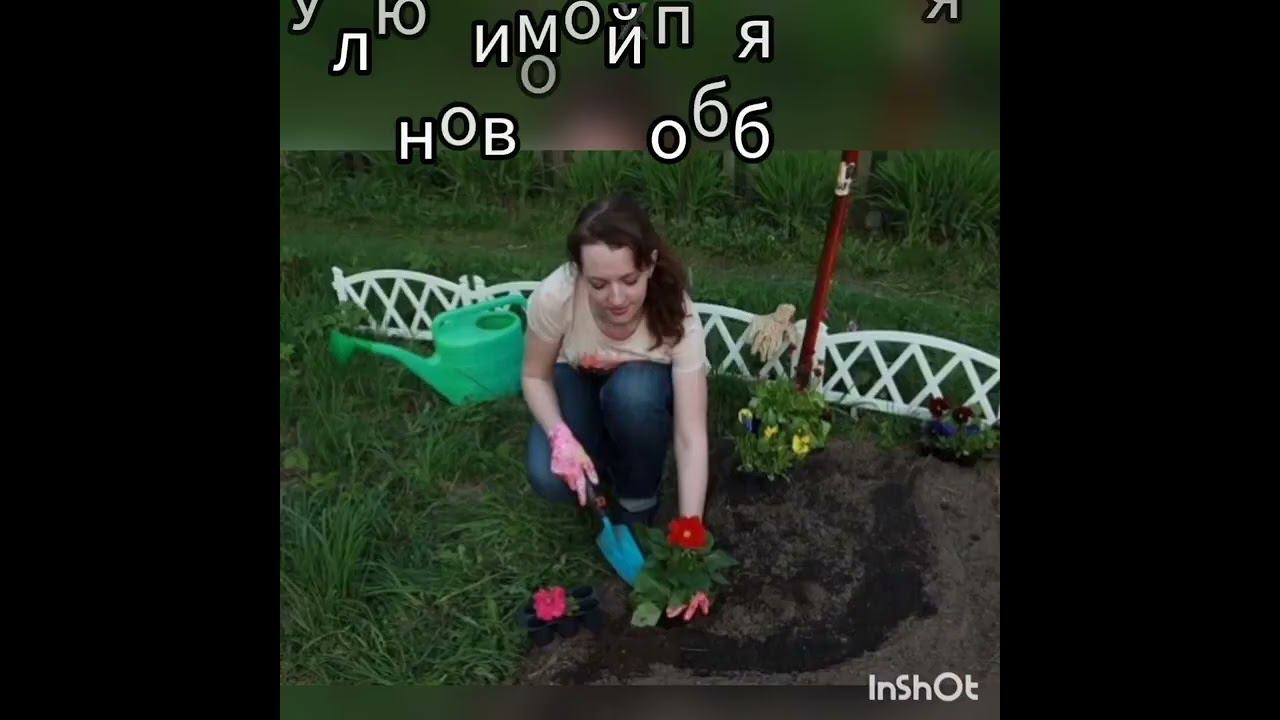 Саженцы на сайте: Rosebushes.ru⚡️ +7928-765-76-78⚡️Забрать в Батайске, или оформить доставку по РФ смотреть онлайн