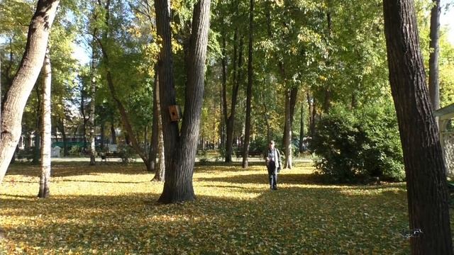 ОСЕНЬ смотреть онлайн