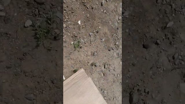 ниссан серена с26. замена генератора. смотреть онлайн