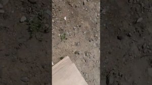 ниссан серена с26. замена генератора.