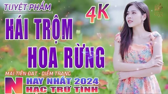 Hái Trộm Hoa Rừng, Hoa Nở Về Đêm? Nhạc Trữ Tình Hay Nhất 2023 - Lk Bolero Nhạc Vàng Xưa Bất Hủ смотреть онлайн