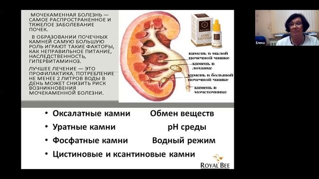 Вебинар 22 апреля 2021. Береги свои почки. Весна — период профилактики