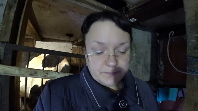 Не запускайте корову, пока не посмотрите этот ролик!!! смотреть онлайн