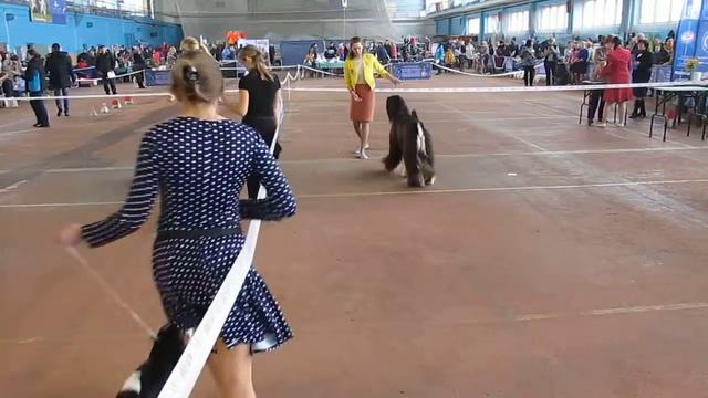 Dasha & Vivat Sanraiz Asta la Vista :-) смотреть онлайн