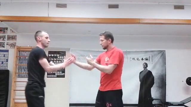 Chinna Wing Tchun - Циньна - PWTF Concept смотреть онлайн