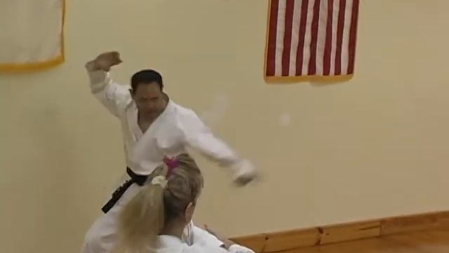 Traditional Shotokan Karate Heian Yondan