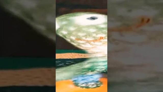 Супер ядерный понос