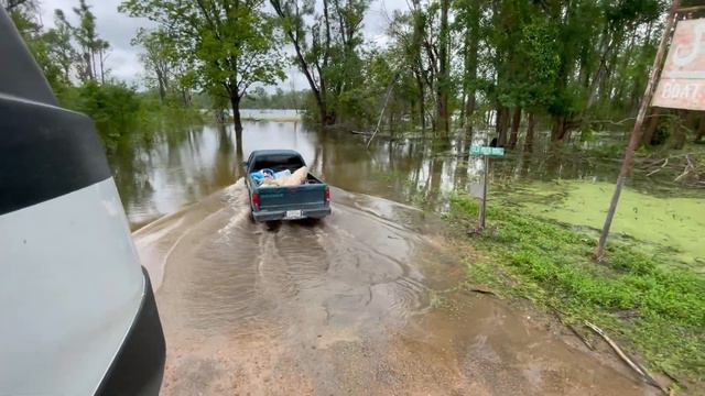 Из Нью-Йорка в болота Луизианы смотреть онлайн