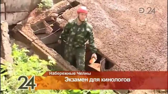 В Набережных Челнах экзамен сдавали волонтеры-кинологи смотреть онлайн