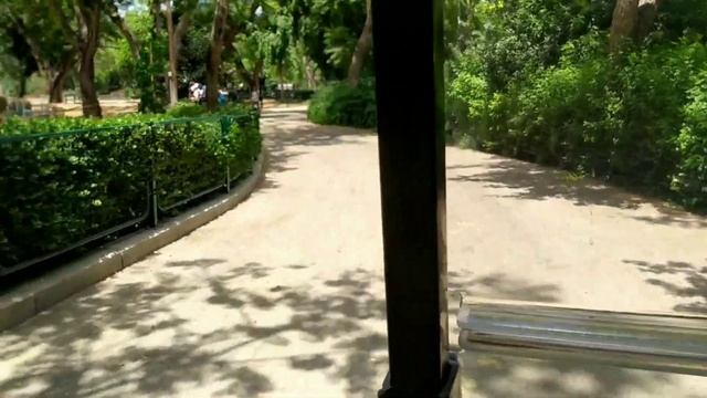 Сафари. Парк в Рамат Ган Израиль смотреть онлайн