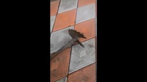 Бур своими руками из диска от циркулярной пилы