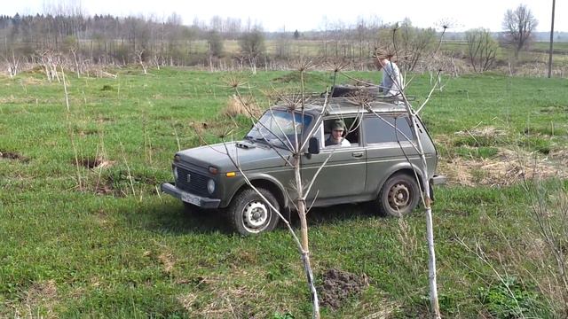 НИна ВАсильевна Четыреначетырекова и её друзья