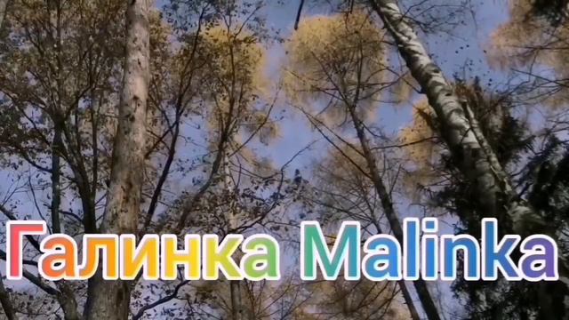 Макеева /Мальков/Малькова /Ничего святого /Пойдут по трупам /Обзор /Макеевщина / смотреть онлайн