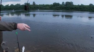 Рыбалка на фидер. Река Вятка. Июль.