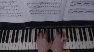 Jean Sibelius - The Spruce (Le Sapin) / Ян Сибелиус - Ель
