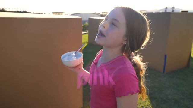 Extreme Hide & Seek in Boxes Challenge *DON’T GET HIT* смотреть онлайн