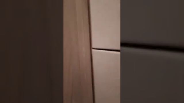 Облицовка плиткой туалета смотреть онлайн