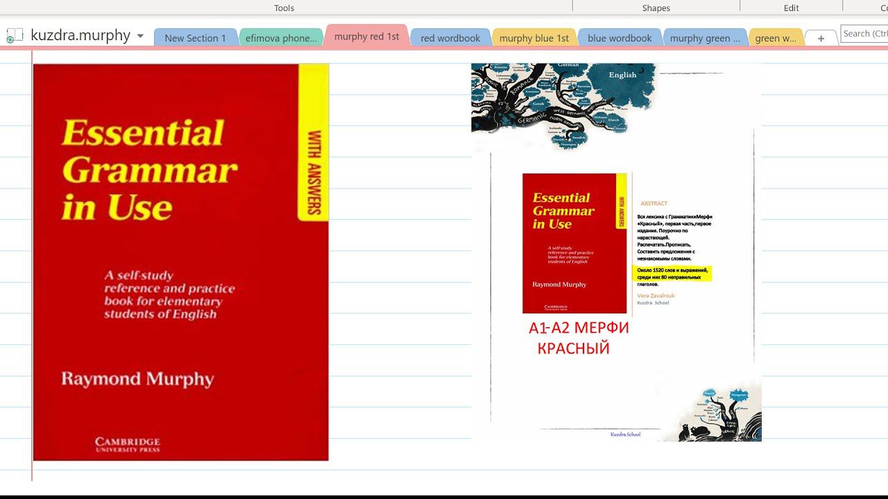 0. Murphy Essential Grammar In Use. Обзор