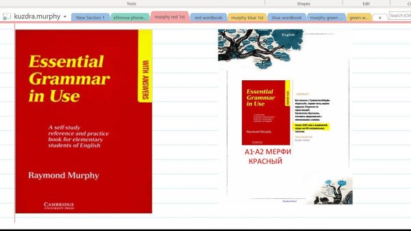 0. Murphy Essential Grammar in Use. Обзор