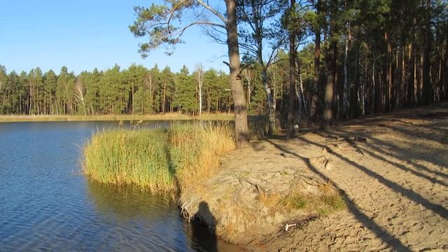"Glebokie" Lake - Poland in December. смотреть онлайн