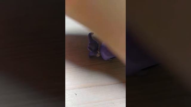 Lps клип Hands Up!!!!!!