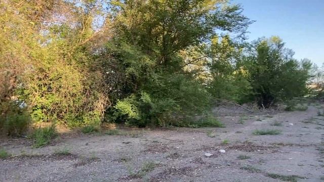 СЕМЕЙ.СЕМИПАЛАТИНСК.ИРТЫШ.РЕЧНОЙ ВОКЗАЛ. ЧАЙКА смотреть онлайн